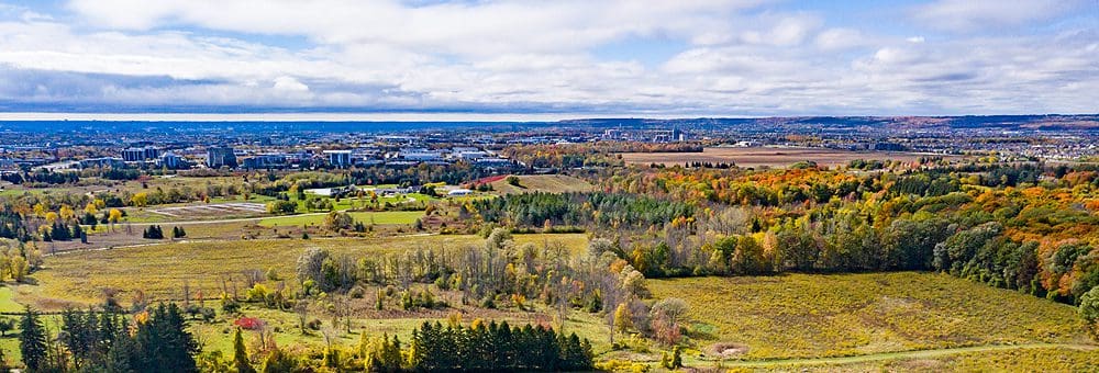 Land and Development